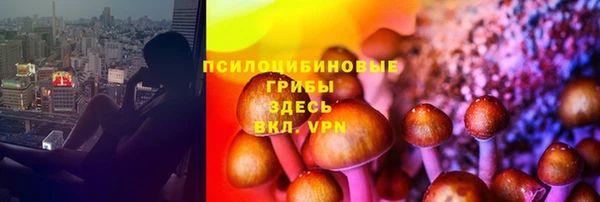 ПСИЛОЦИБИНОВЫЕ ГРИБЫ Алзамай