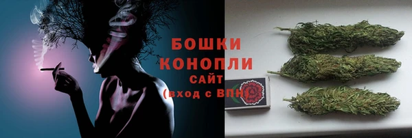 ПСИЛОЦИБИНОВЫЕ ГРИБЫ Алзамай